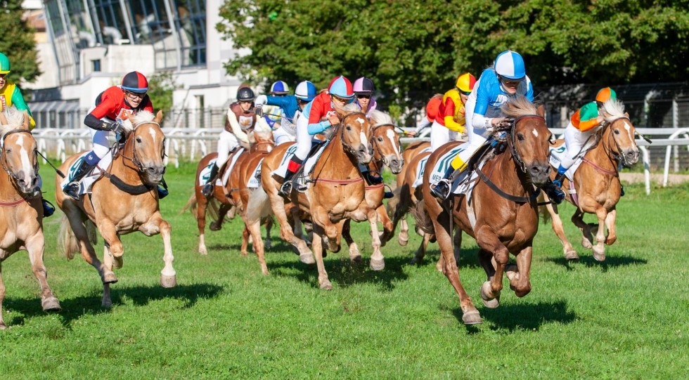 Ippodromi associati al Masaf: ‘Poche risorse per società di corse, tema urgente’