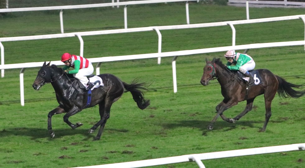 Ippodromo Snai San Siro: l’ultima di trotto dedicata a amazzoni e cavalieri