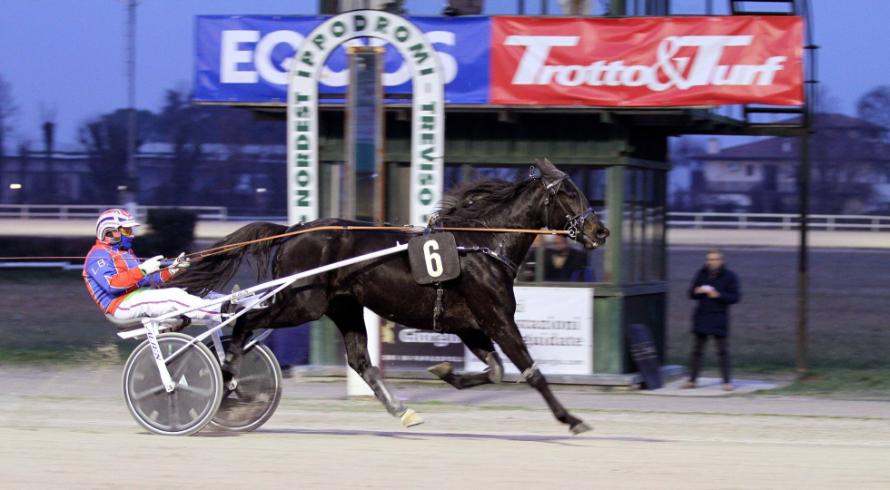 Ippodromo Sant’Artemio (Tv): Sistema Cavallo rinuncia alla gestione