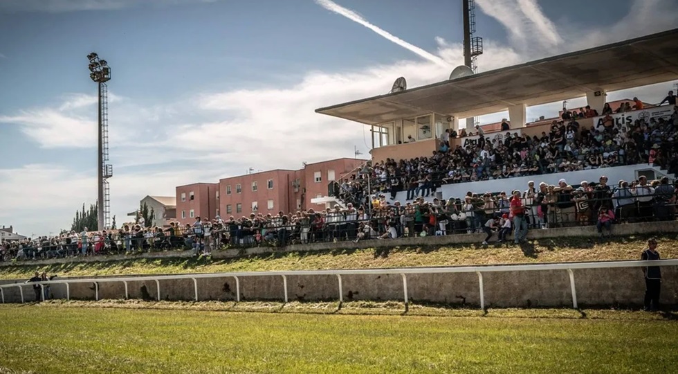 Sardegna, da Regione 500mila euro a sostegno dell’ippica