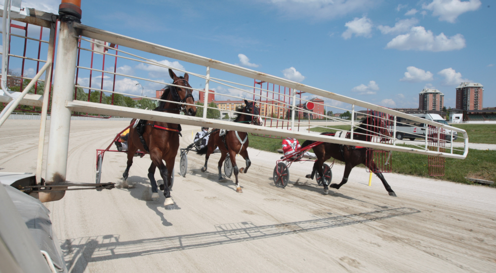 Ippodromo Snai La Maura: tra le sette corse della Vigilia di Natale il Premio Zabul Fi