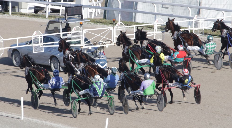 Ippodromo Snai San Siro, il Premio All of Host clou dell’undicesima giornata
