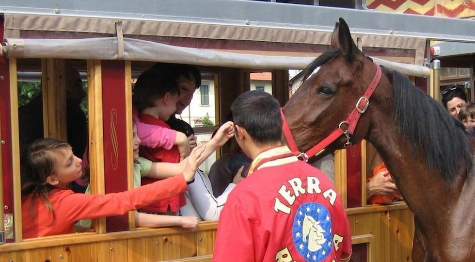 Ippodromo Arcoveggio tra i luoghi simbolo dello sport di Bologna