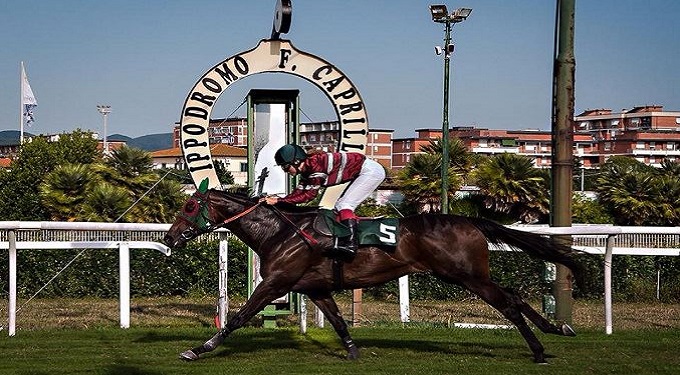 Ippodromo Livorno, Sistema Cavallo a Perini (Lega): ‘Fatti investimenti cospicui nell’impianto’