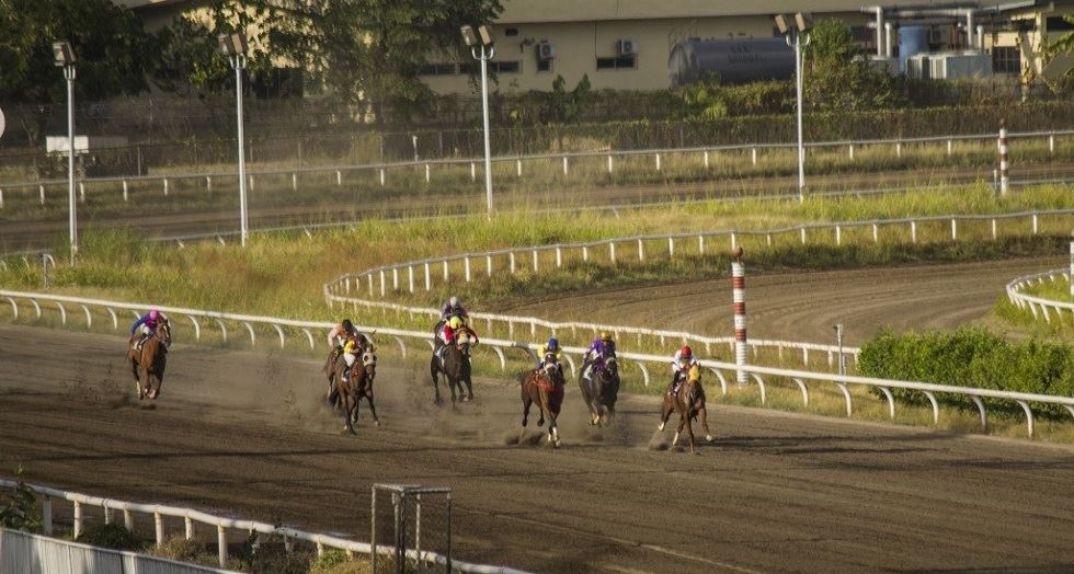 Rilancio ippica, Fait (UniLink): ‘Nuove tecnologie centrali per rivitalizzare gli ippodromi’