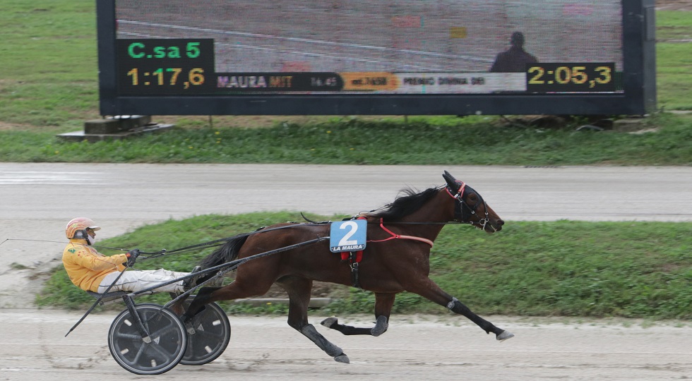 Ippodromo Snai La Maura, Catullo Jet e  Elalunadisse Bigi mattatori