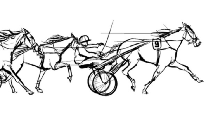 Ippodromo Modena: eventi a pagamento anche per i giurati del Palio delle Regioni