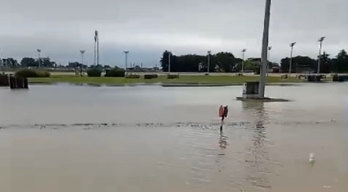 Alluvione in Veneto: allagata la pista dell’ippodromo di Padova, cavalli in salvo