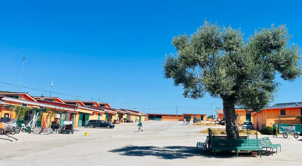 Ippodromo Taranto, gli operatori: ‘Centro d’allenamento resta aperto’