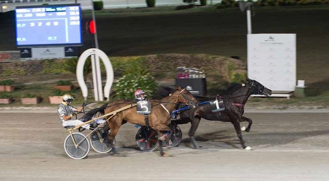 Ippodromo San Paolo in manutenzione, il gestore: ‘I cavalli tornano a maggio’