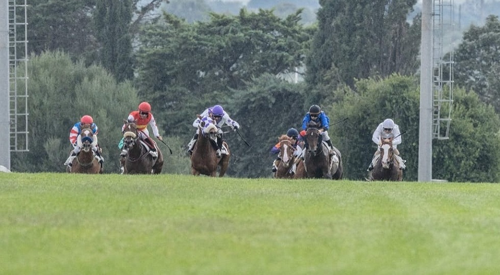 La giostra degli ippodromi: occhi puntati su Roma Capannelle, Grosseto e Sassari
