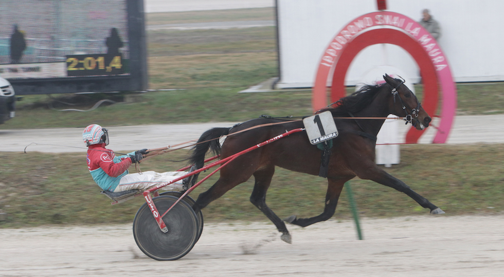 Ippodromo Snai La Maura: il bel mercoledì di trotto col successo di Dayak