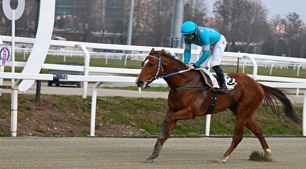 Ippodromo Snai San Siro, Sopran Lucca prima nel clou del venerdì