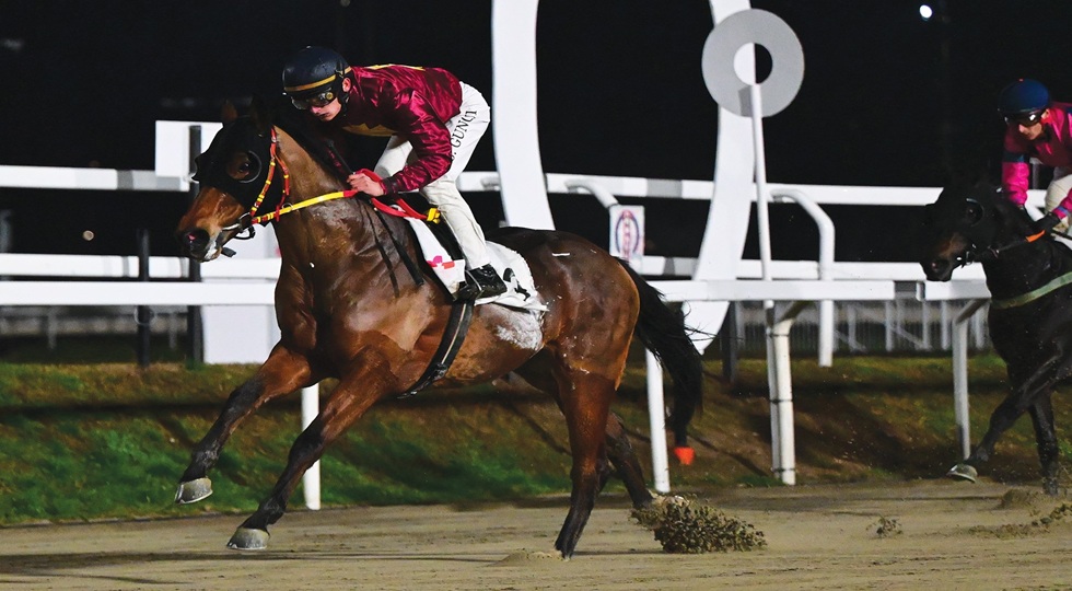 Ippodromo Snai San Siro, Cablay e Amy Rose protagonisti del mercoledì di galoppo