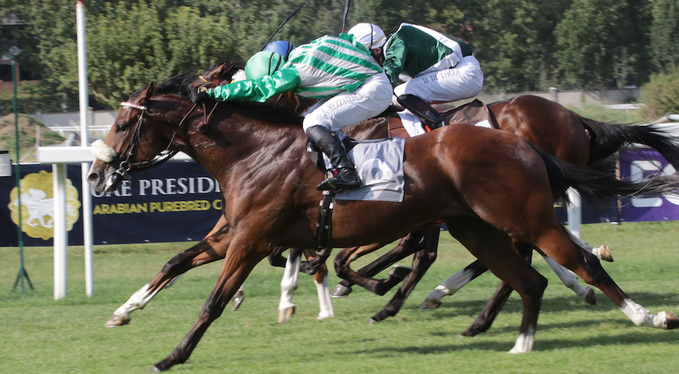 Ippodromo Snai San Siro: ultima di galoppo poi si va in ferie