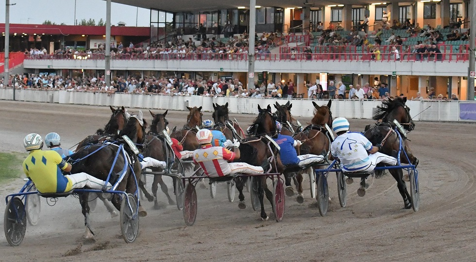 Trotto all’ippodromo Snai Sesana, settembre inizia con il Trofeo Denis Coku