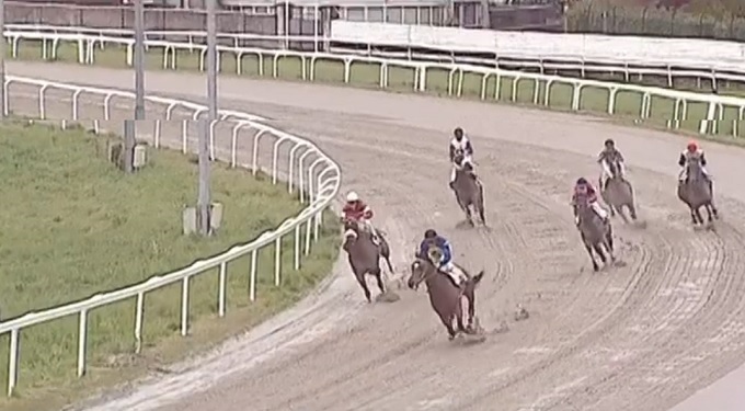 Incidente all’ippodromo di Varese: il Masaf inibisce l’uso della pista in sabbia