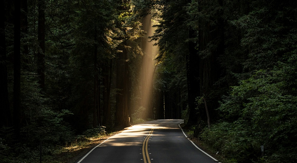 Diversificazione offerta e formazione, la buona strada del Casinò Campione