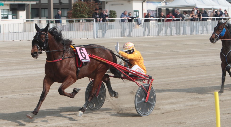 Ippodromo Snai La Maura: i Premi Terrible Gsoo e Tuono Amg protagonisti della V giornata