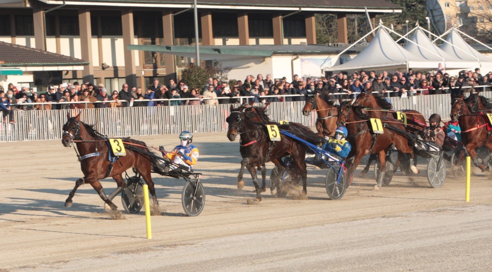 Ippodromo Snai La Maura, il Gran Premio Mario Locatelli lo vince Bonjovi Mmg