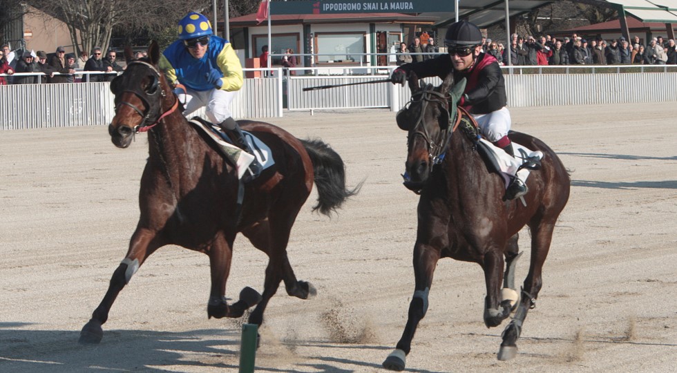 Ippodromo Snai La Maura, Solcio Zl si conferma ‘specialista’ del trotto montato