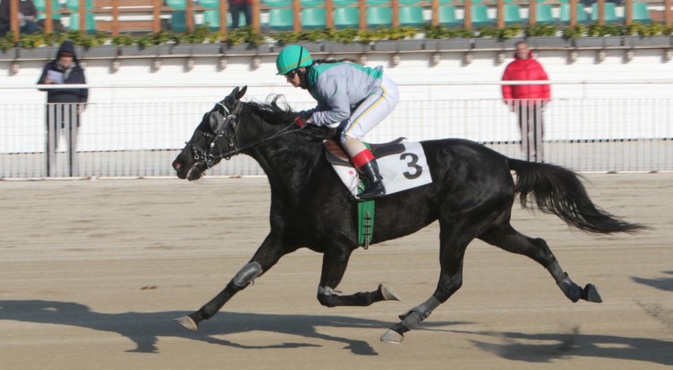 Ippodromo Snai La Maura, Exwcutiv Ek e Expo Wise As, due belle promesse