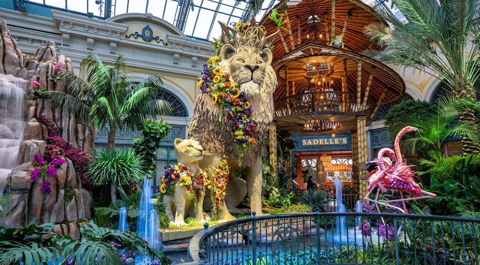 Mgm, premi fedeltà ai clienti colpiti dall’attacco informatico