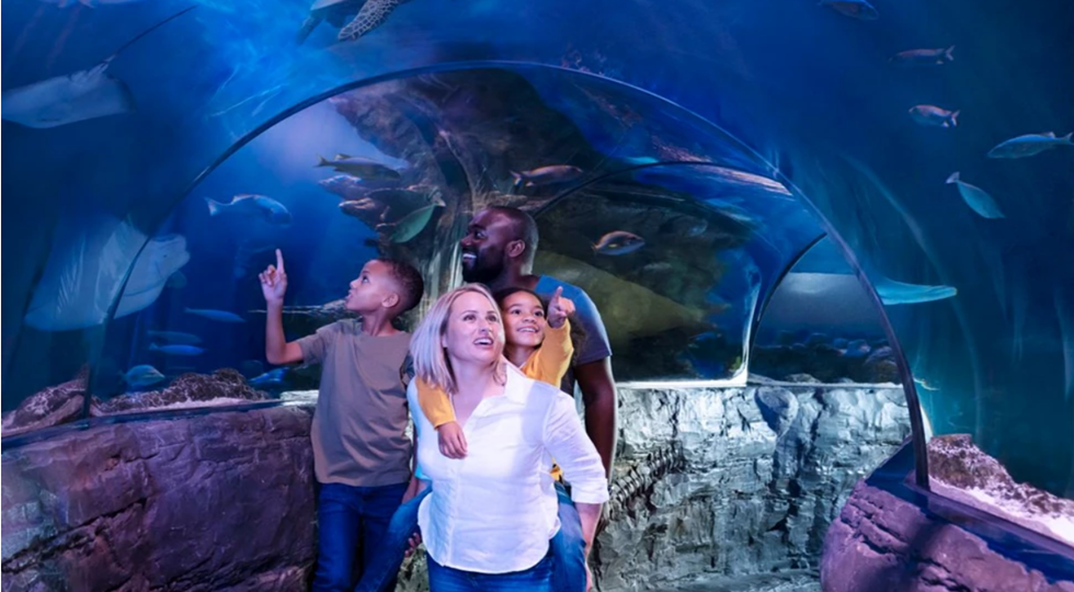 Merlin Entertainments utilizzerà la tecnologia AI nei locali