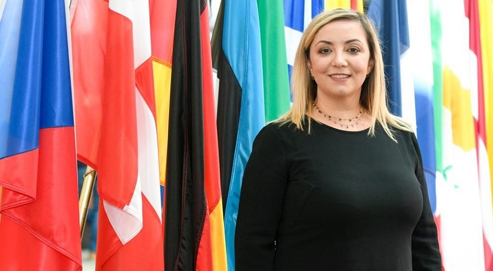 Adinolfi (Forza Italia): ‘Maggiori strumenti di controllo parentale per i videogiochi’