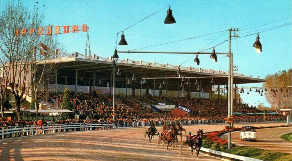 Ippodromo Le Padovanelle: inchiesta su doping e maltrattamenti ai cavalli