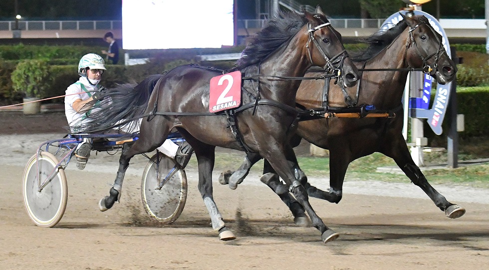 Ippodromo Snai Sesana: nel Premio La Nazione trionfano Country Gial e Dynamite Kandy