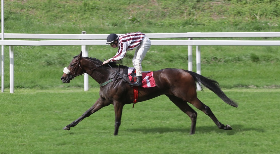 Ippodromo Snai San Siro: Acheso trionfa nel Premio Archivio storico ippodromi Snai