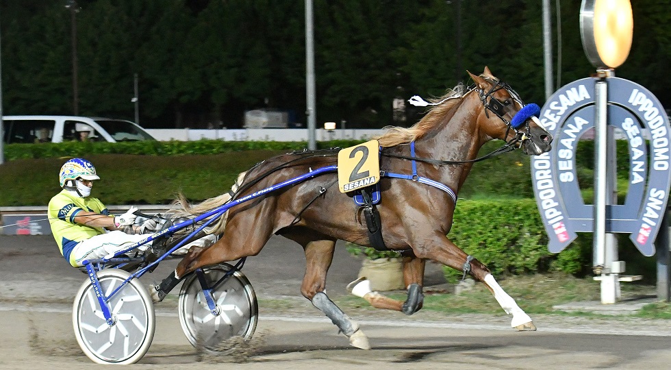 Ippodromo Snai Sesana: Filodoro Bar domina il Premio Giuseppe Verdi