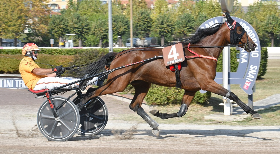 Snai Sesana: la stagione di trotto si chiude con le vittorie di Gocciadoro e Funny Gio