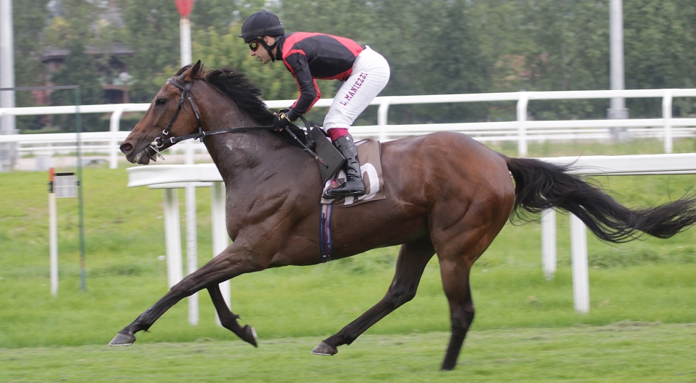 All’ippodromo Snai San Siro Norton si aggiudica il Premio Razza del Soldo