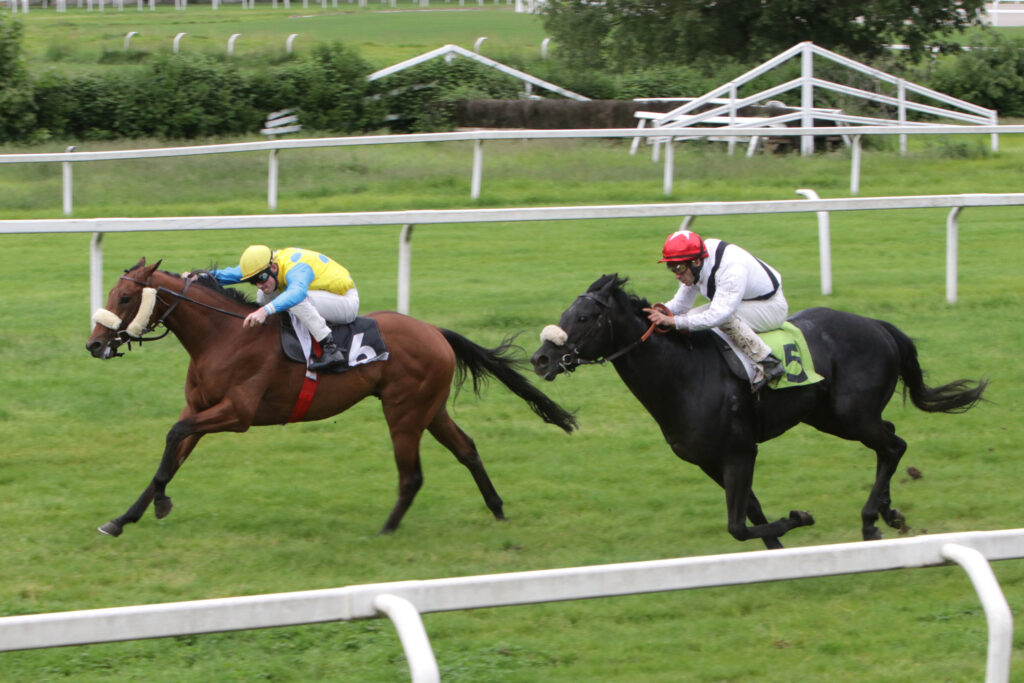 Ippodromo Snai San Siro: nella prima di maggio a Muchas Gracias va il Premio San Giorgio