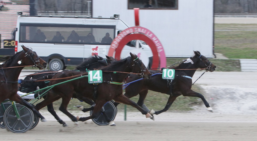 Ippodromo Snai la Maura: Dolly Effe trionfa nella giornata dedicata alla scuderia Indal