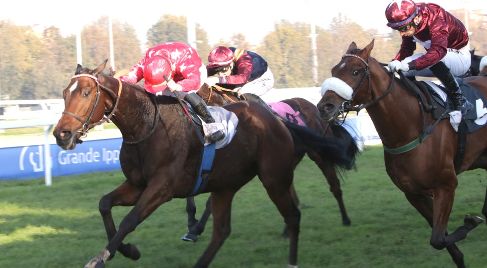 Ippodromo Snai San Siro, a Woodchuck il premio Di Capua