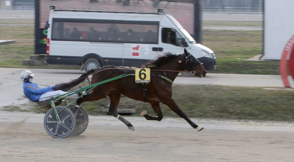 Ippodromo Snai La Maura: nella quarta giornata di trotto vincono Funky Roc ed Every Time Winner