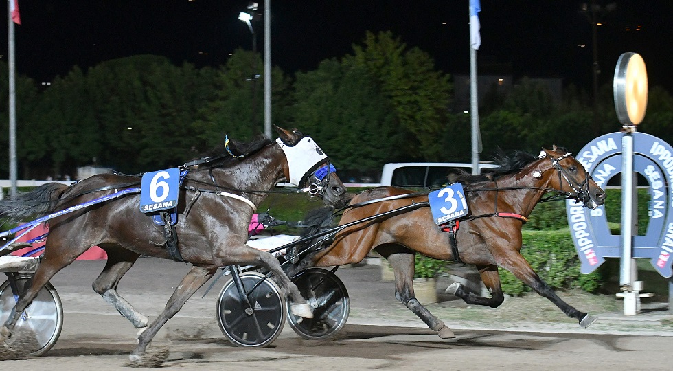 All’ippodromo Snai Sesana tripletta per Gocciadoro che fa suo il Premio Quattrocar Audi