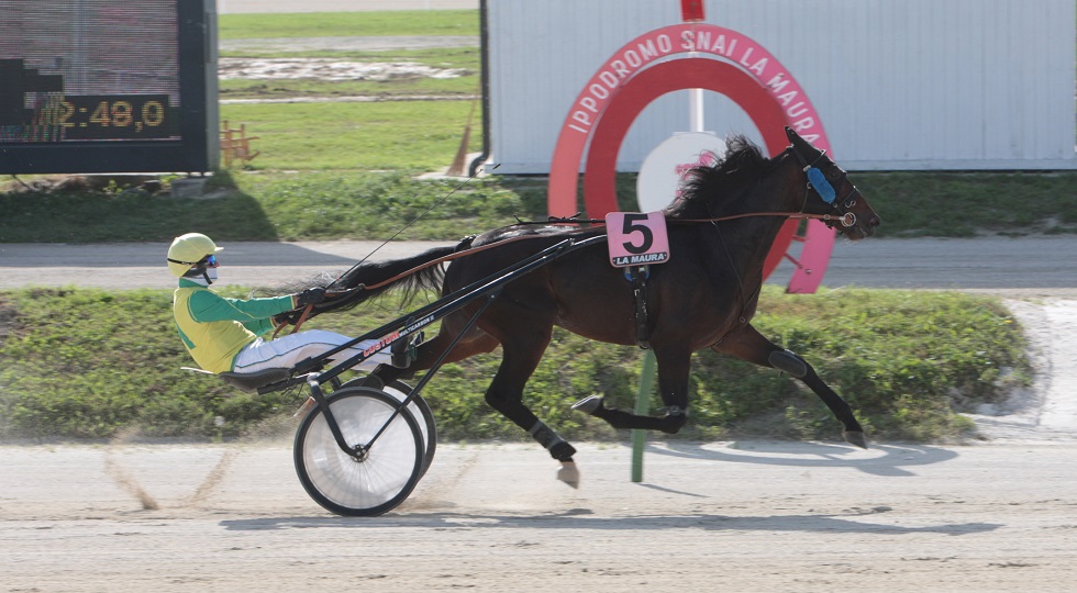 Ippodromo Snai La Maura: Frank Gio si conferma nel premio Radiofreccia