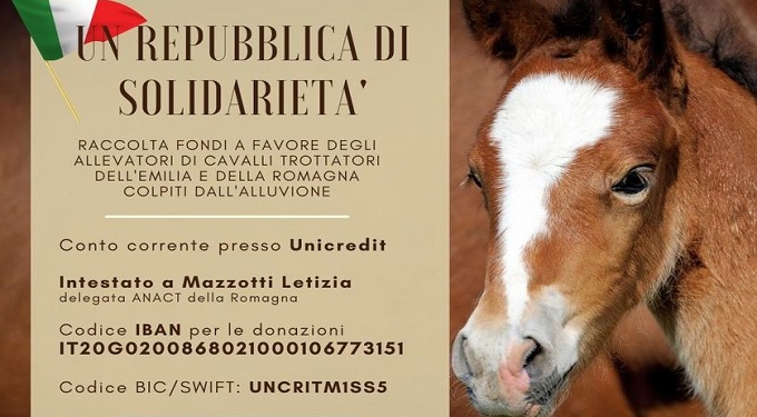 Alluvione Romagna, Mst e Hippogroup Cesenate in campo per i cavalli