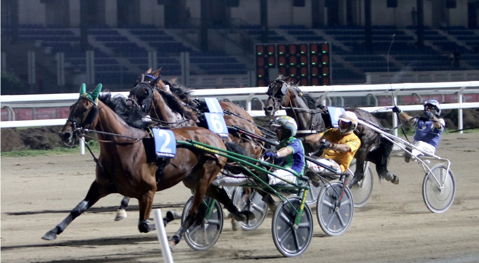 Ippodromo Snai San Siro: Danilo Spritz trionfa nel Premio Ringostarr Treb