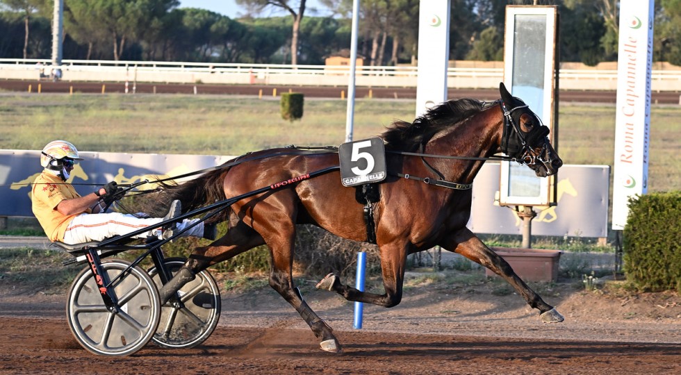 La Pietra (Masaf): ‘A Capannelle conferma di come ippica sappia suscitare grande interesse’