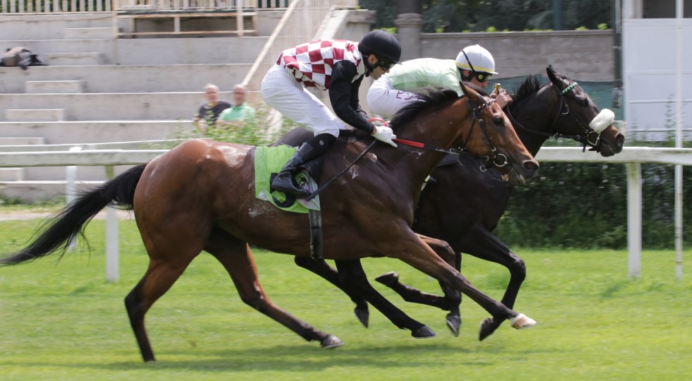 Ippodromi Snai: Eureka Grif vince il Sweet Staff a Sesana, Kazzam si impone nel Cipolloni a San Siro