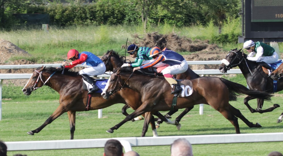 Ippodromi Snai: a Sesana protagonista Antonio Di Nardo, a San Siro brilla Shavasana