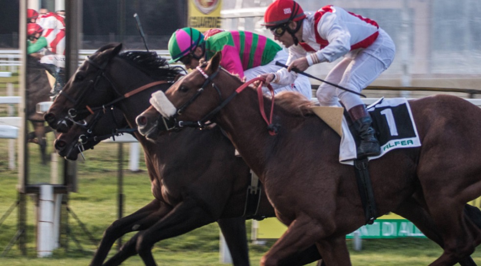 San Rossore, giornata di corse tra passato e presente