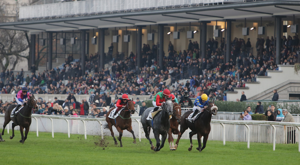 Ippodromo Snai San Siro: mercoledì di galoppo come il lunedì, ecco i risultati