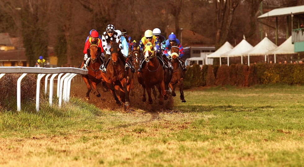 Cavallo morto a Treviso, Nordest ippodromi: ‘Tragica fatalità e struttura mantenuta a regola d’arte’