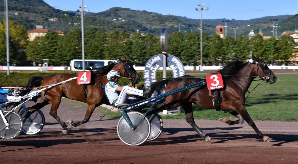 Ippodromo Snai Sesana, appuntamento con il trotto nell’ultimo sabato di luglio
